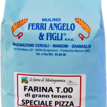 Farina Speciale Pizza